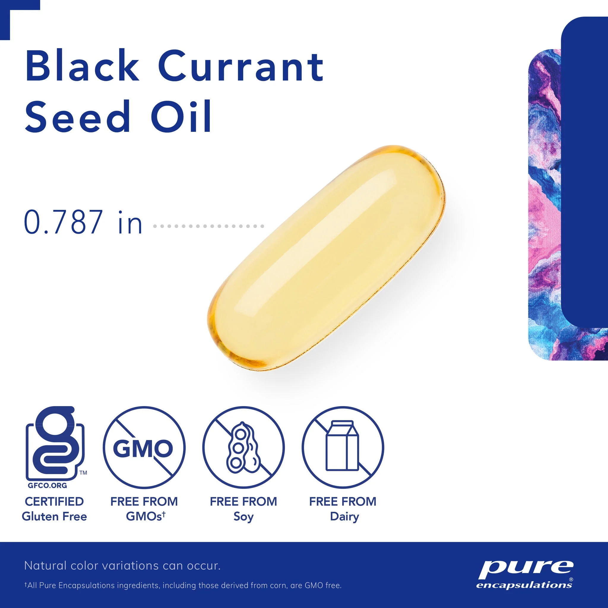 Pure Encapsulations Black Currant Seed Oil - Image 2