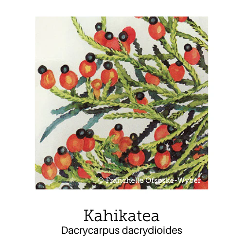 Chakra Balance Support© Flower Essence Emotional Remedy - 100% Natural - Image 4