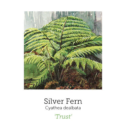 Client Focus Support© Flower Essence Emotional Remedy - 100% Natural - Image 4