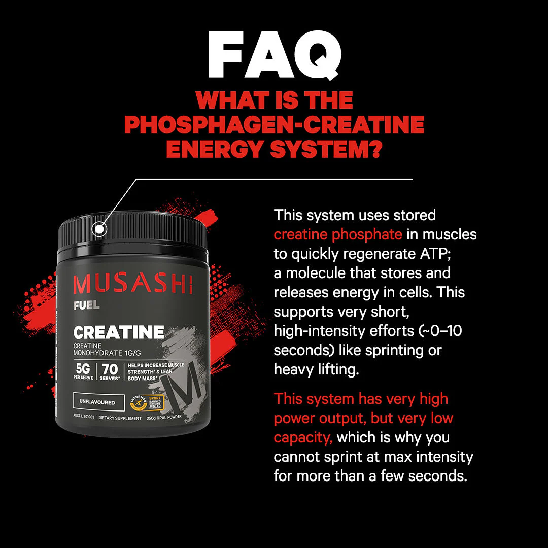 Musashi Creatine Monohydrate Powder 600g - Image 3