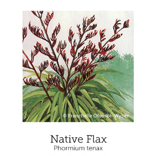 Crisis Support© Flower Essence Emotional Remedy - 100% Natural - Image 5