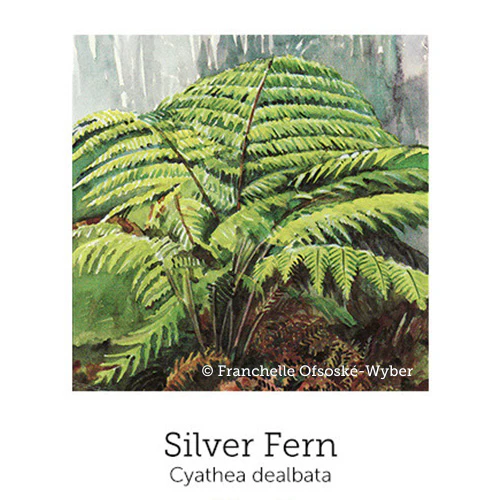 Grief Support© Flower Essence Emotional Remedy - 100% Natural - Image 4