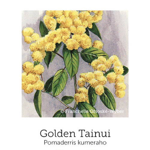 Grief Support© Flower Essence Emotional Remedy - 100% Natural - Image 6
