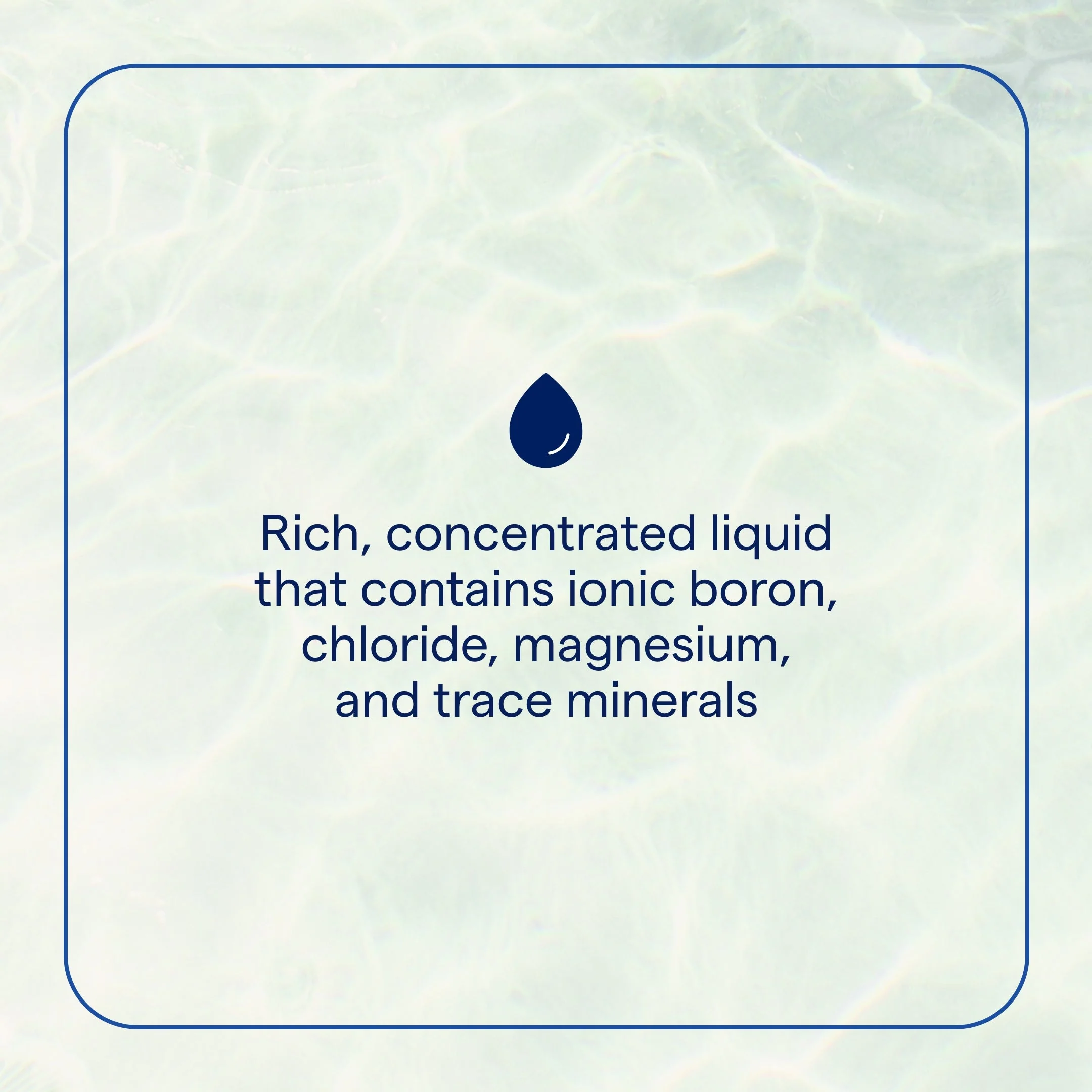 Trace Minerals Ionic Boron - Image 4