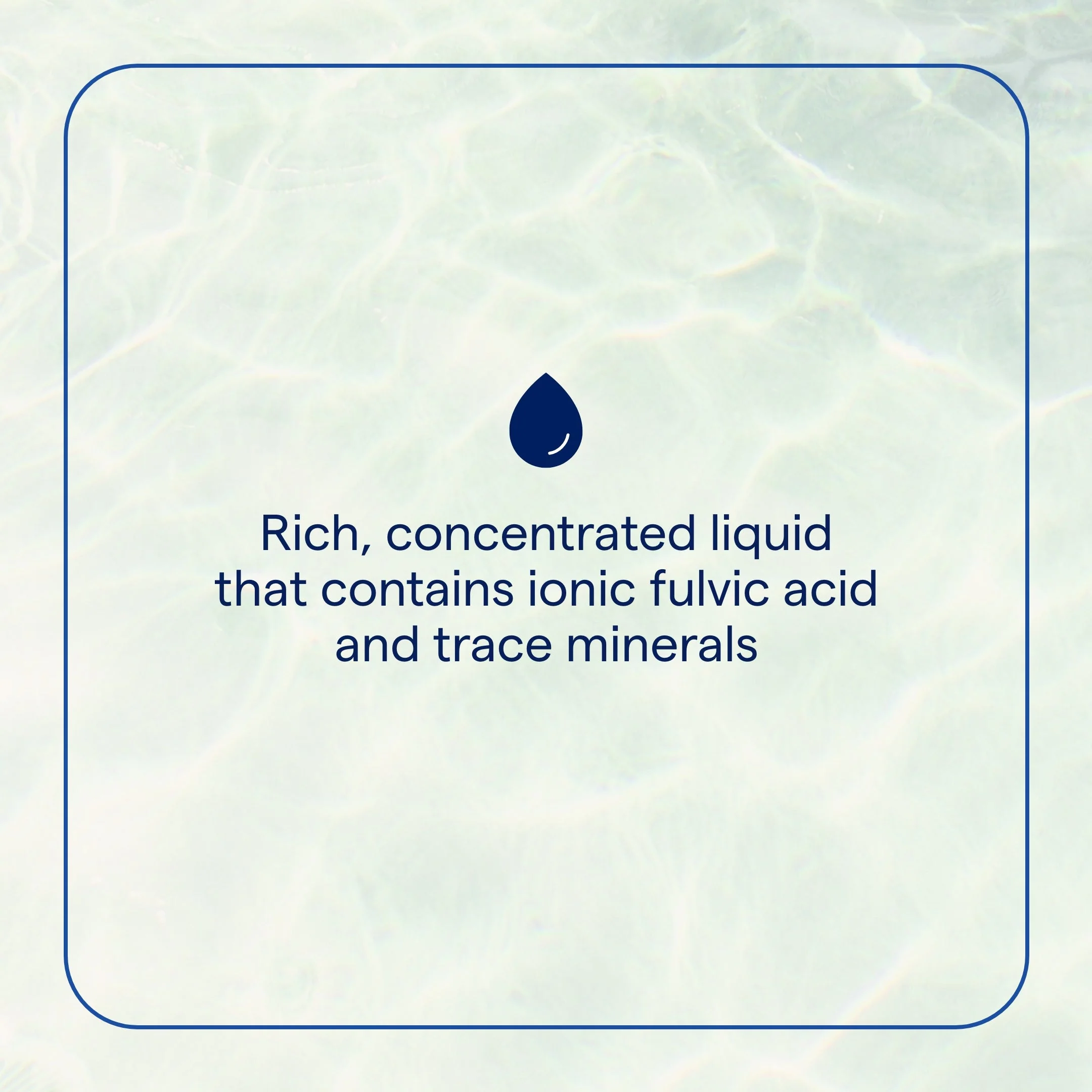 Trace Minerals Ionic Fulvic Acid - Image 5
