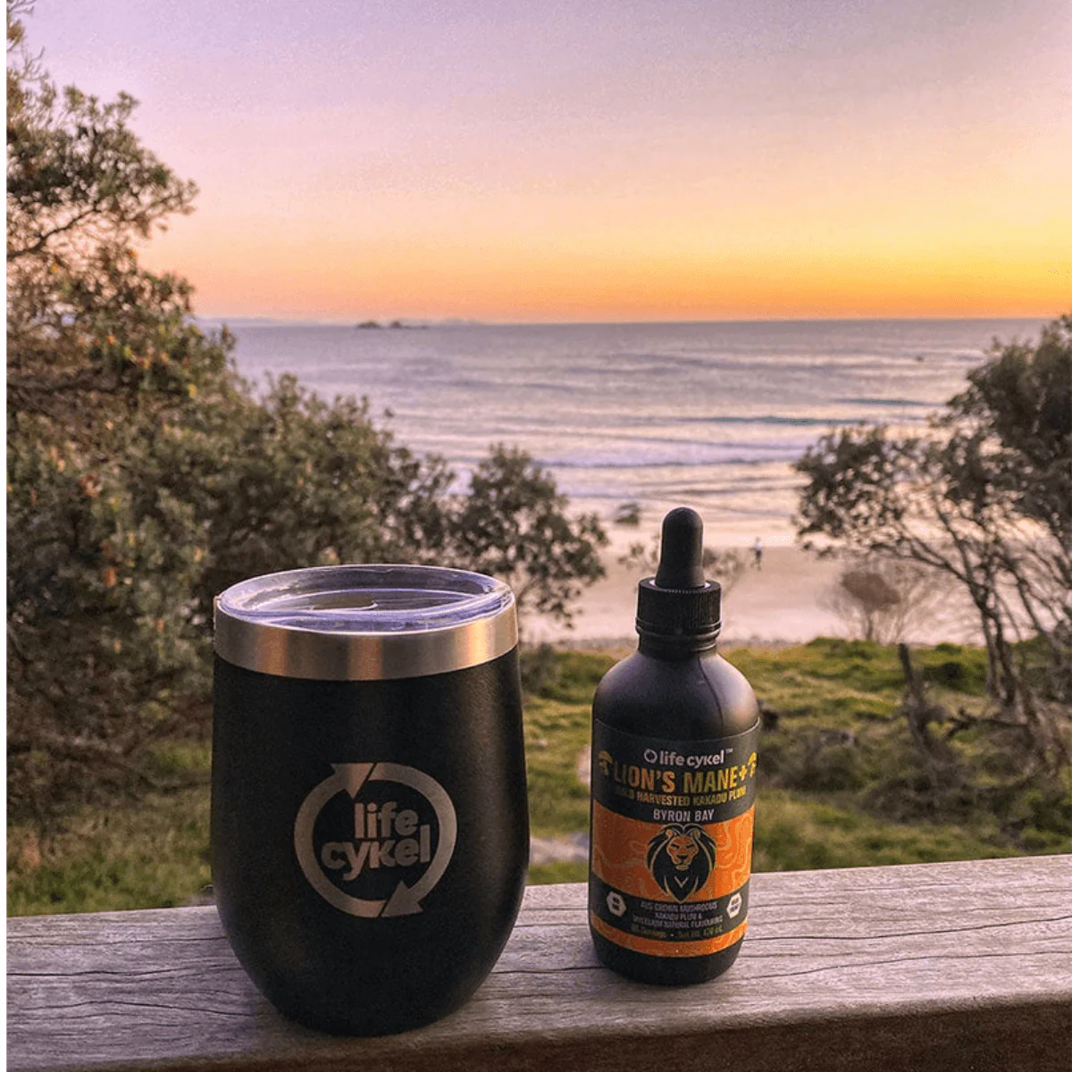 Lion's Mane Mushroom Extract 30ml - Image 3