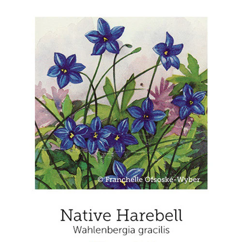 Mothers Support© Flower Essence Emotional Remedy - 100% Natural - Image 8