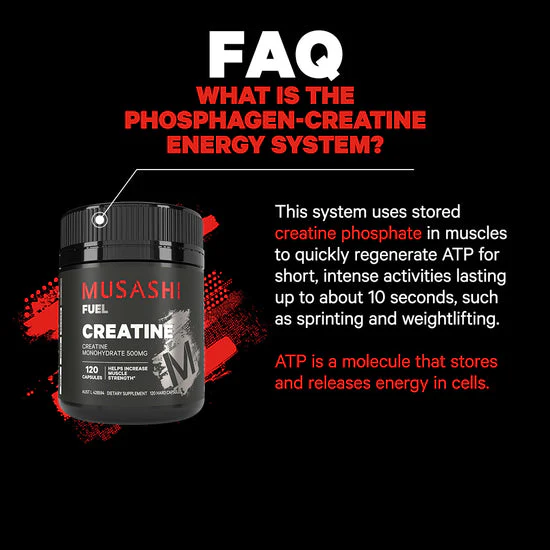 Musashi Creatine 120 Caps - Image 2