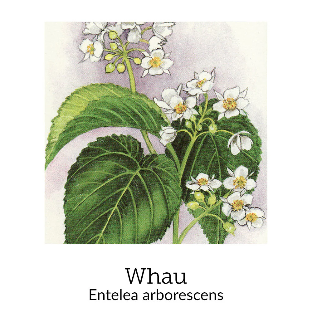 Vital Woman Menopause Support© Flower Essence Emotional Remedy - 100% Natural - Image 8