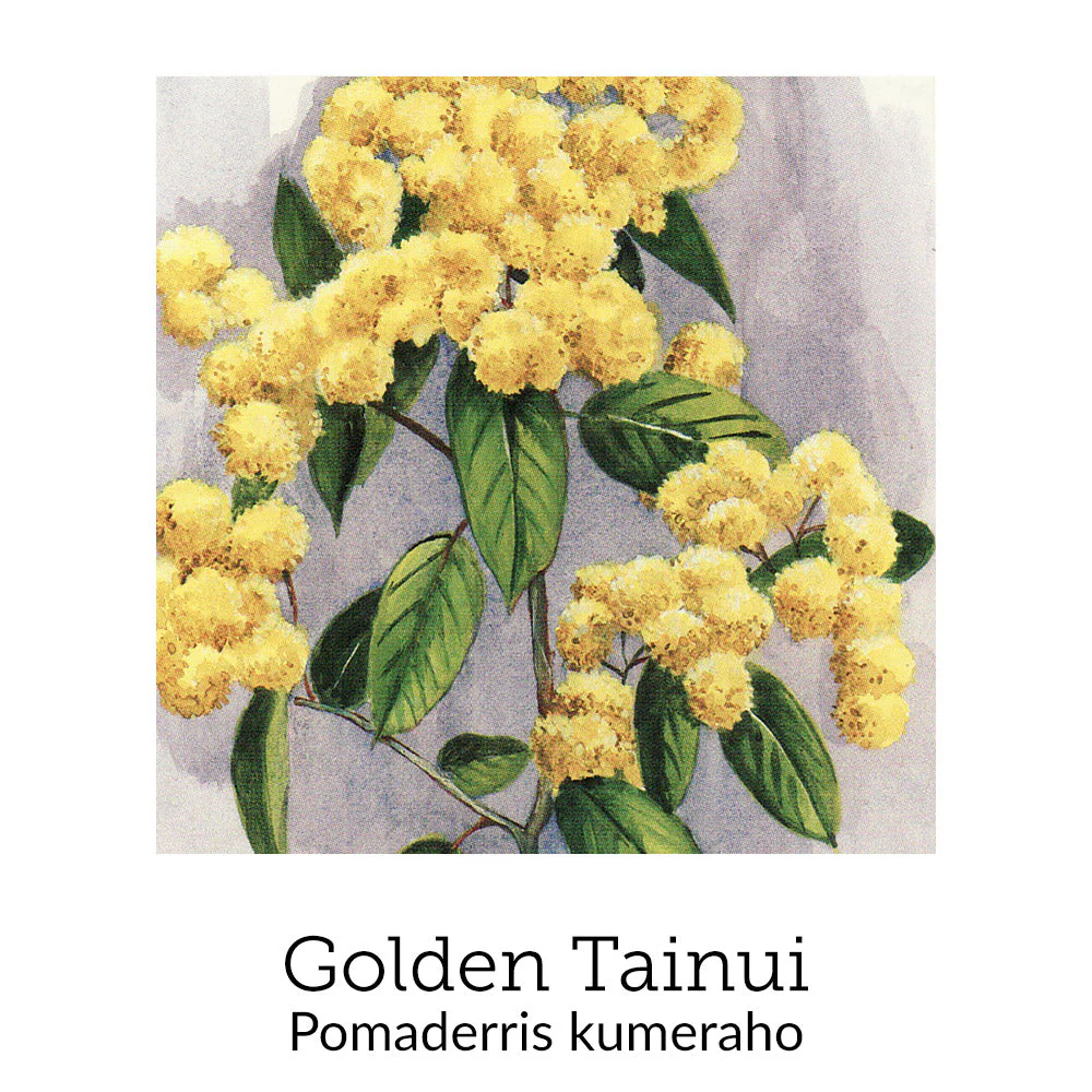Vital Woman Menopause Support© Flower Essence Emotional Remedy - 100% Natural - Image 9