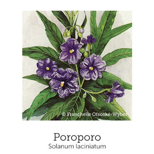 Weight Support© Flower Essence Emotional Remedy - 100% Natural - Image 5